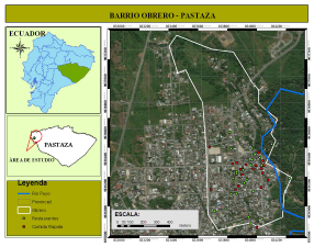 Evaluación de estrategias de gestión de aceites de cocina usados. Caso de estudio Puyo, Amazonia Ecuatoriana